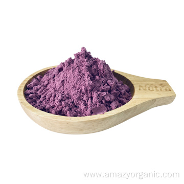 Freeze-Dried Natural Fresh Mulberry Powder